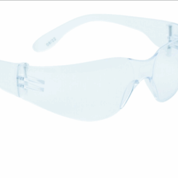 LUNETTE BRAVA2 CLEAR 